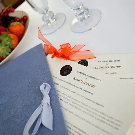 Apartment Il Tolomei - In The Middle Of Main Street *